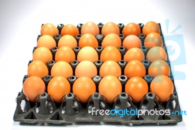 Eggs Chicken For Eat Stock Photo