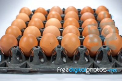 Eggs Chicken For Eat Stock Photo