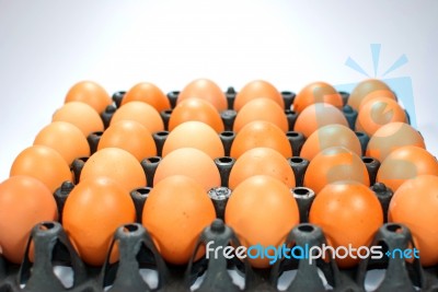 Eggs Chicken For Eat Stock Photo