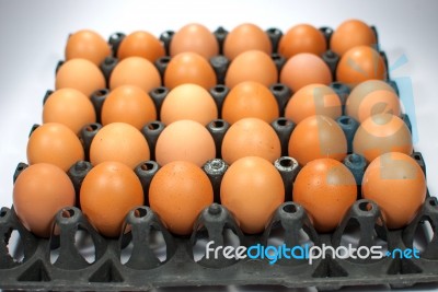 Eggs Chicken For Eat Stock Photo