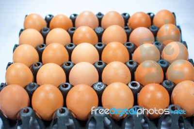 Eggs Chicken For Eat Stock Photo