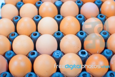 Eggs Chicken For Eat Stock Photo