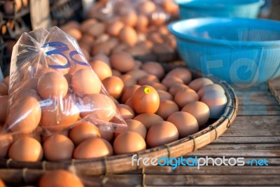 Eggs Chicken For Eat Stock Photo