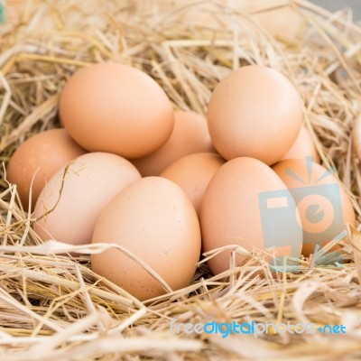 Eggs In A Straw Nest Stock Photo