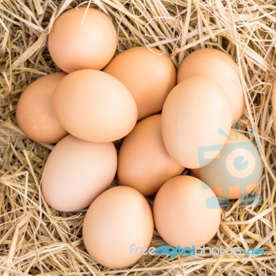 Eggs In A Straw Nest Stock Photo