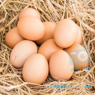 Eggs In A Straw Nest Stock Photo