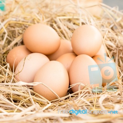 Eggs In A Straw Nest Stock Photo