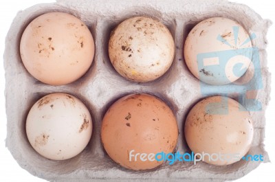 Eggs In Carton Stock Photo