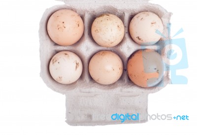 Eggs In Carton Stock Photo