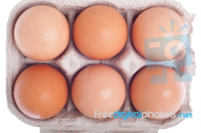 Eggs In Carton Stock Photo