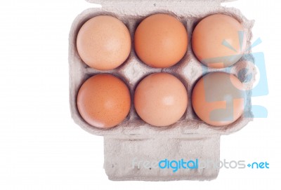 Eggs In Carton Stock Photo