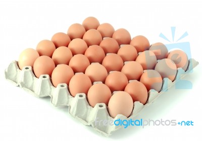 Eggs In Carton Stock Photo