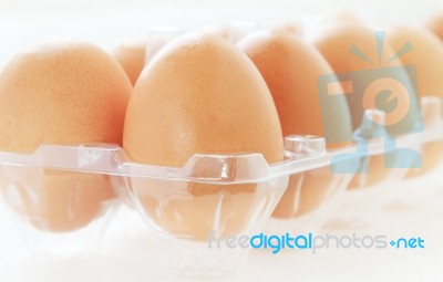 Eggs In Egg Case Box Stock Photo