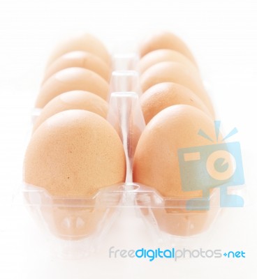 Eggs In Egg Case Box Stock Photo