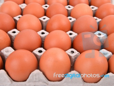 Eggs In Paper Tray Stock Photo