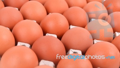 Eggs In Paper Tray Stock Photo