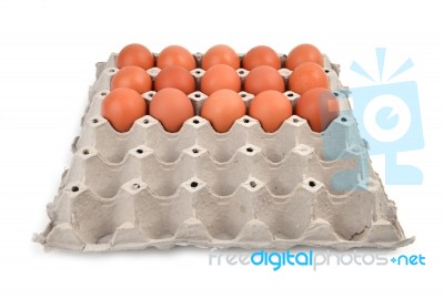 Eggs In Paper Tray Stock Photo