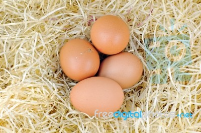 Eggs In Straw Stock Photo