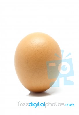 Eggs In White Background Stock Photo