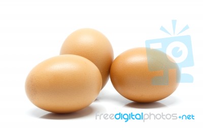 Eggs In White Background Stock Photo