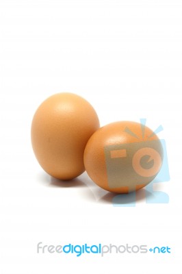 Eggs In White Background Stock Photo