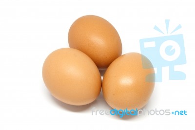 Eggs In White Background Stock Photo