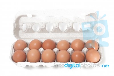 Eggs Inside Cardboard Package Stock Photo