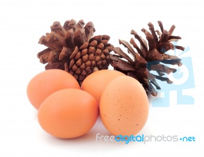 Eggs Isolated On White Background Stock Photo