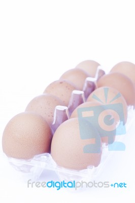 Eggs Isolated On White Background Stock Photo