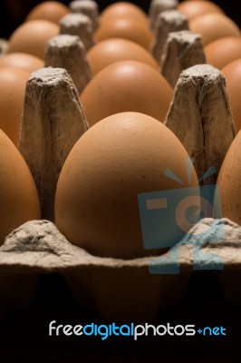 Eggs Poultry Concept Stock Photo