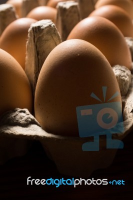 Eggs Poultry Concept Stock Photo