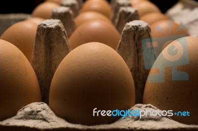 Eggs Poultry Concept Stock Photo