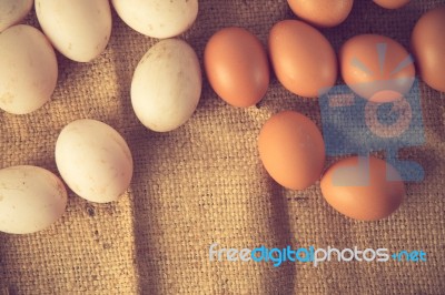 Eggs Vintage Color Stock Photo