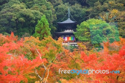 Eikando Pagoda Against Autumn Foliage Stock Photo