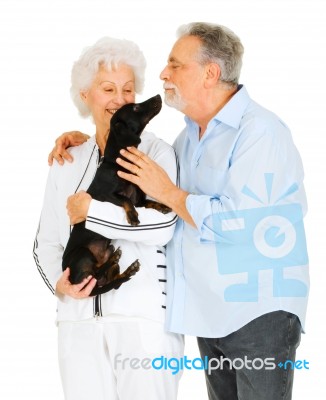 Elderly Couple With Little Black Dog Stock Photo