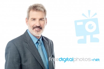 Elderly Male Entrepreneur Posing Stock Photo