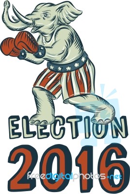 Election 2016 Republican Elephant Boxer Etching Stock Image