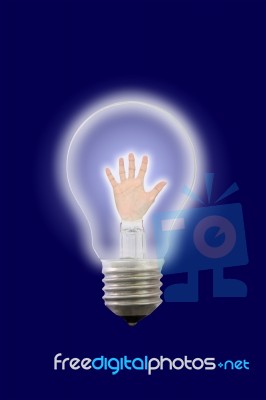 Electric Light Bulb Stock Photo