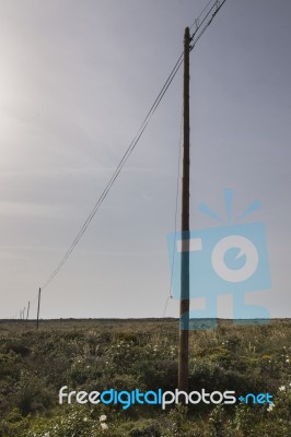 Electricity Wire On A Field Stock Photo