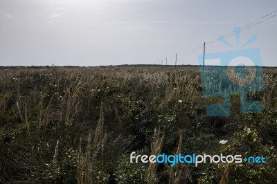 Electricity Wire On A Field Stock Photo