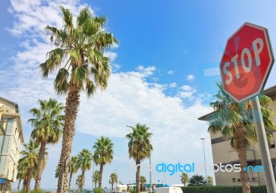 Elegant Boulevard With A Stop Sign Stock Photo