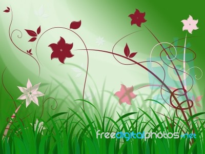 Elegant Floral Background Means Elegant Natural Beauty
 Stock Image