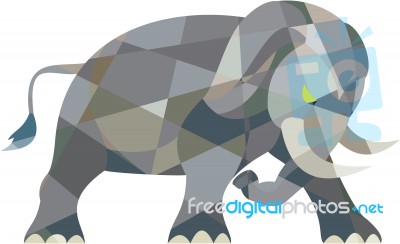 Elephant Attacking Side Low Polygon Stock Image