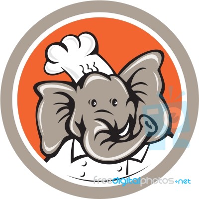 Elephant Chef Head Cartoon Stock Image