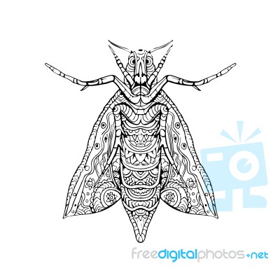 Elephant Hawk Moth Mandala Stock Image