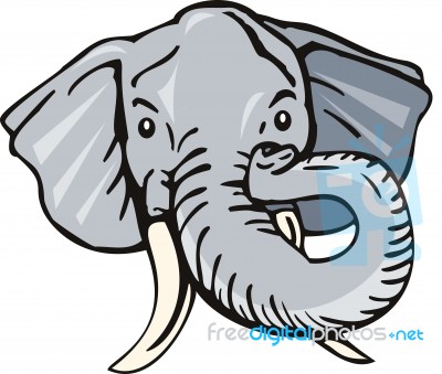 Elephant Head Front Retro Stock Image