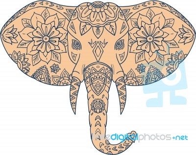 Elephant Head Tusk Mandalaa Stock Image