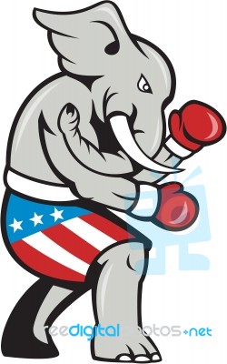 Elephant Mascot Boxer Boxing Side Cartoon Stock Image