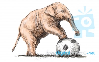 Elephant Playing Football, Sketch Free Hand Draw Illustration Stock Image