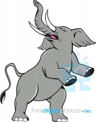 Elephant Prancing Isolated Cartoon Stock Image